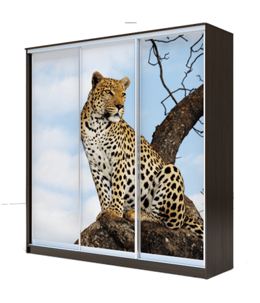 Шкаф 2400х1770х420, Леопард ХИТ 24-4-18-777-04 Венге Аруба в Элисте - изображение