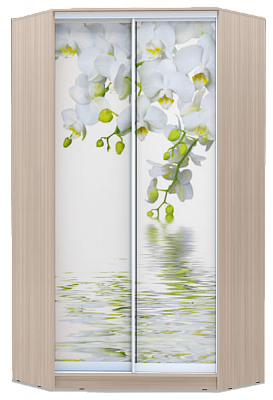 Шкаф угловой 2300х1103, ХИТ У-23-4-77-05, Белая орхидея, шимо светлый в Элисте - изображение