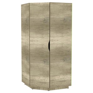 Шкаф распашной Аврора (H34) 1872х854х854, Дуб Каньон Монумент в Элисте