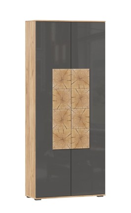 Шкаф двухстворчатый Фиджи с декоративными накладками 659.310, Дуб Золотой/Антрацит в Элисте - изображение