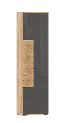 Шкаф одностворчатый Фиджи с декоративными накладками 659.300, Дуб Золотой/Антрацит в Элисте - изображение