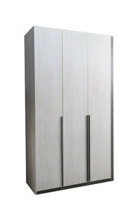 Распашной шкаф Винтер-3, винтерберг/темно-серый в Элисте - предосмотр
