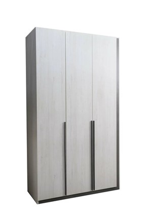 Распашной шкаф Винтер-3, винтерберг/темно-серый в Элисте - изображение