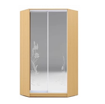 Шкаф 2400х1103, ХИТ У-24-4-66-01, цапля, 2 зеркалами, Бук Бавария светлый в Элисте - изображение