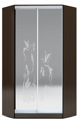 Угловой шкаф 2300х1103, ХИТ У-23-4-66-03, колибри, 2 зеркала, венге аруба в Элисте - изображение