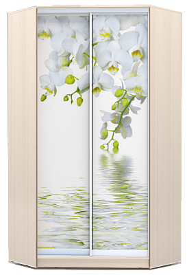 Шкаф угловой 2300х1103, ХИТ У-23-4-77-05, Белая орхидея, дуб млечный в Элисте - изображение