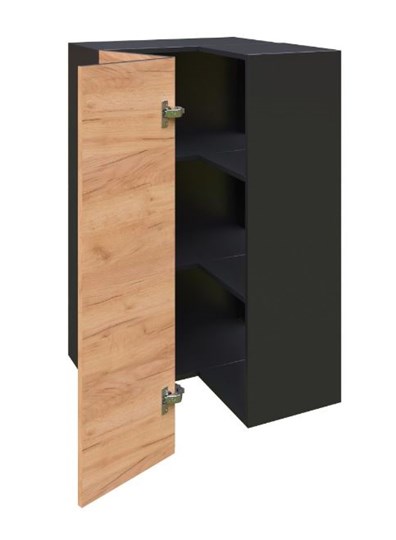 Шкаф кухонный угловой высокий Шервуд, ЛД 281.570.000.043, дуб золотой/черный в Элисте - изображение 1