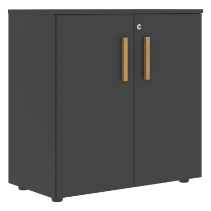 Низкий шкаф с малыми дверцами широкий FORTA Черный Графит FLC_80.1_Z__grafit.png FLC 80.1(Z) (798х404х801) в Элисте - изображение