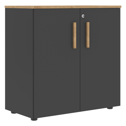 Шкаф широкий низкий с малыми дверцами FORTA Графит-Дуб Гамильтон  FLC 80.1(Z) (798х404х801) в Элисте - изображение