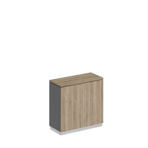 Шкаф для документов закрытый низкий Speech Cube (90x40x88.1) СИ 322 ДС АР ДС в Элисте