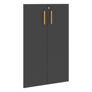 Средние двери для шкафов с замком FORTA Черный Графит FMD 40-2(Z) (794х18х1164) в Элисте