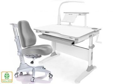 Растущая парта + стул Mealux EVO Evo-30 G (арт. Evo-30 G + Y-528 G) (дерево)/(стол+полка+кресло+чехол+лампа)/ белая столешница (дерево), цвет пластика серый в Элисте