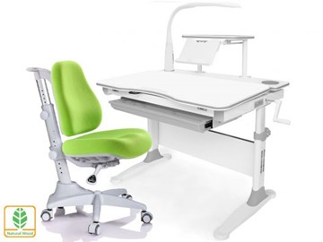 Растущая парта + стул Mealux EVO Evo-30 G (арт. Evo-30 G + Y-528 KZ) (дерево)/(стол+полка+кресло+чехол+лампа)/ белая столешница (дерево), цвет пластика серый в Элисте